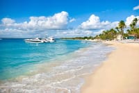 Saona Island Catamaran Tour from Punta Cana 8