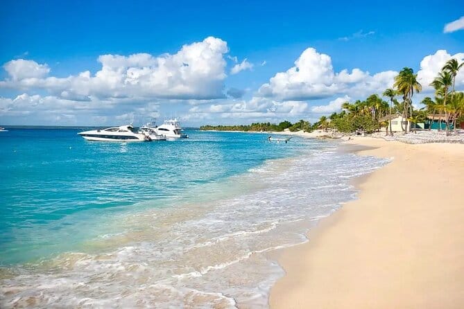 Saona Island Catamaran Tour from Punta Cana 8