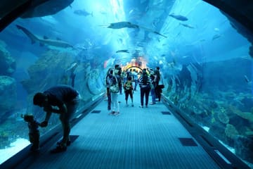 Hurghada Grand Aquarium Admission and Guided Tour