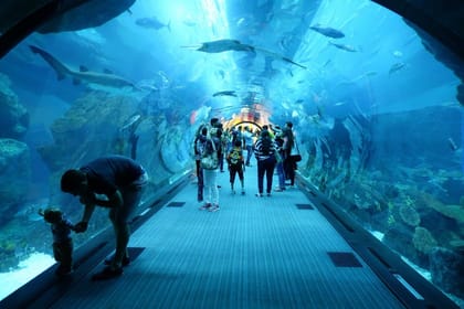 Get the Best Hurghada Grand Aquarium Tickets