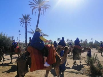 Camel Ride Through Marrakech's Scenic Palm Groves