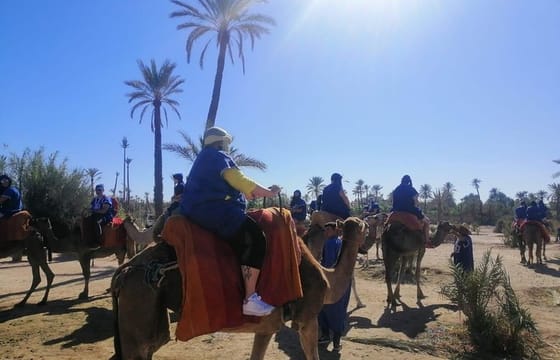 1 Hour Camel Ride in the palm groves of Marrakech