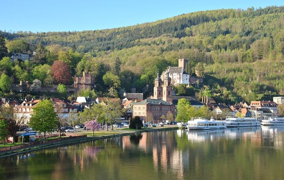 Private Walking Tour of Historic Miltenberg, Germany