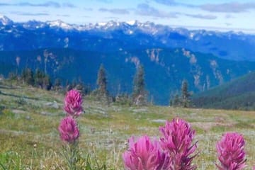Day Trip to Olympic National Park from Seattle with Ferry