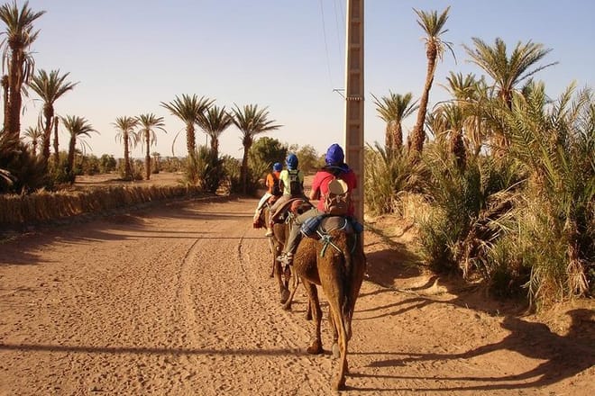 Camel Ride Tour in Marrakech 5