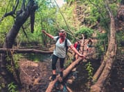 The Rainforest Tour - Small Group Trip with Tasting 2