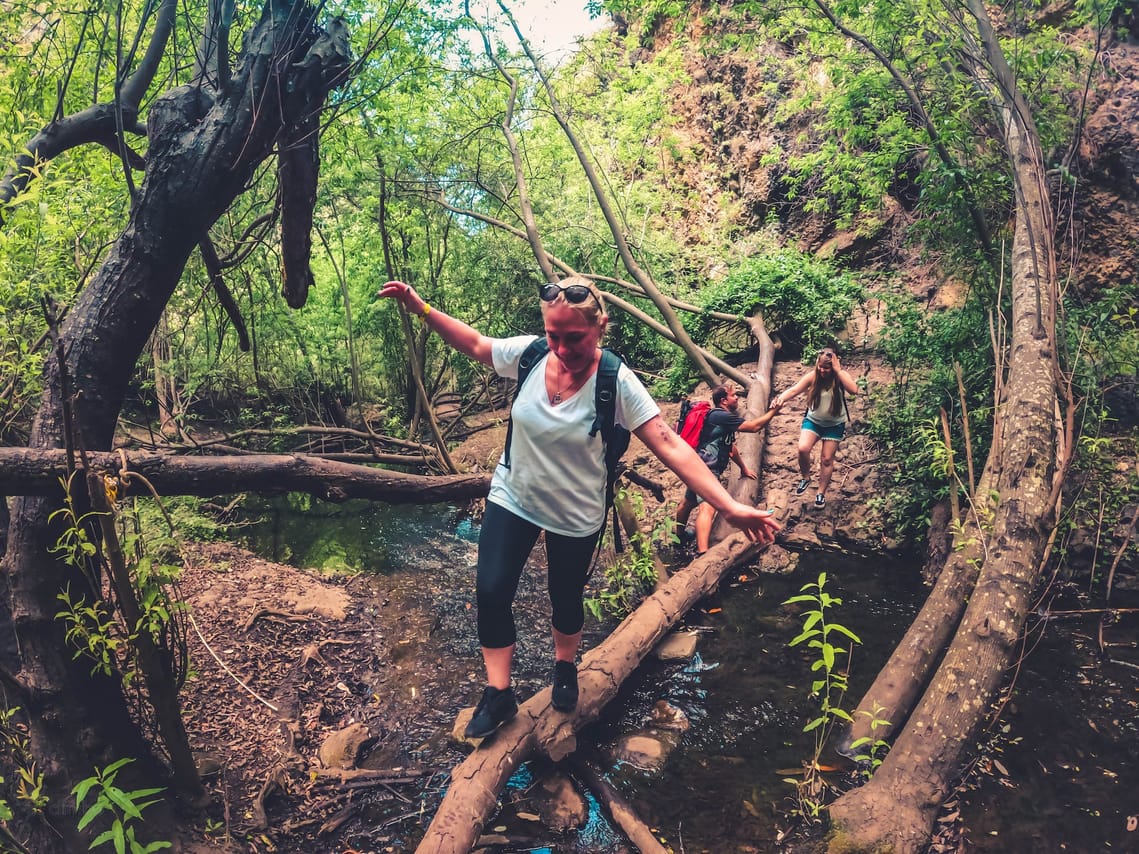 The Rainforest Tour - Small Group Trip with Tasting 2