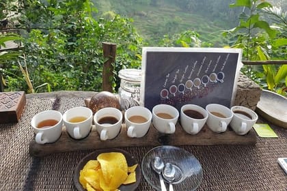 Private Tour: Ubud Day Tour with Traditional Offering Lesson