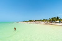 Holbox Island Tour with Pasion Island and Punta Mosquito 3