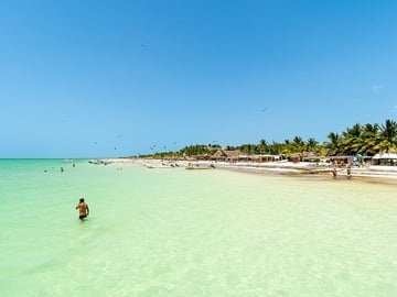 Holbox Island Tour with Pasion Island and Punta Mosquito