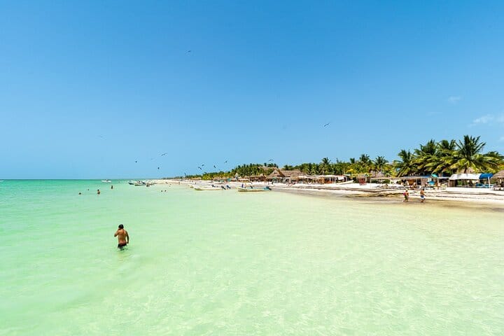 Holbox Island Tour with Pasion Island and Punta Mosquito 3