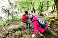Mt. Vitosha and Boyana Waterfall Hiking Tour from Sofia 1