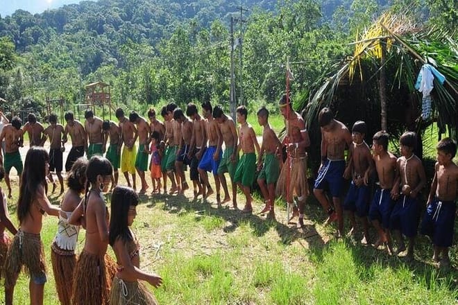 Indigenous Guarani Village & Atlantic Forest — Private Day Trip 3
