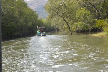 Scenic Pranburi River Cruise with Local Food Tasting in Hua Hin