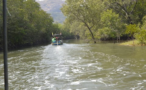 Scenic Pranburi River Cruise with Local Food Tasting in Hua Hin