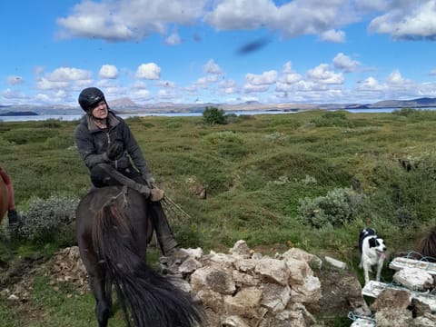 1 hour Riding tour Lake Myvatn area, photo 3