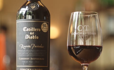 Half-Day Wine Tour at Concha y Toro in Pirque, Chile