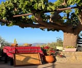 Cooking Lessons in Chania – The Real Cretan Cooking Experience 1