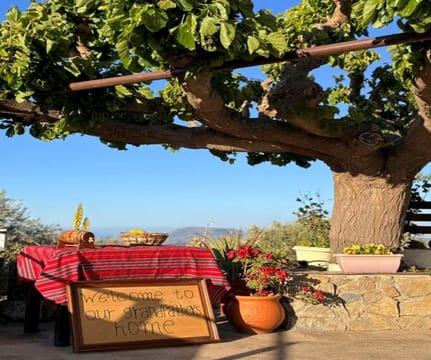 Cooking Lessons in Chania – The Real Cretan Cooking Experience
