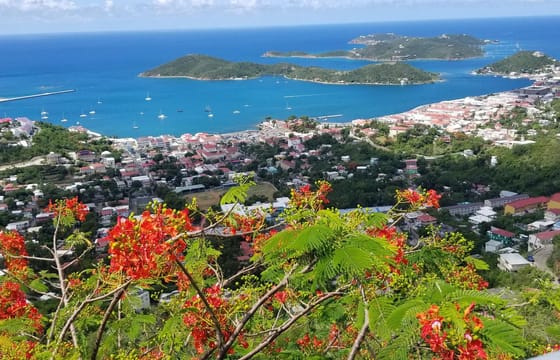 Private Island Drive with Sapphire Beach Stop