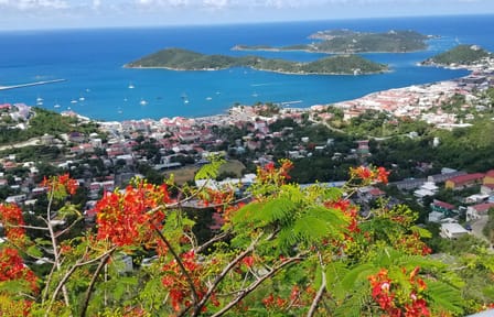 Private Island Drive Tour with Sapphire Beach in St. Thomas
