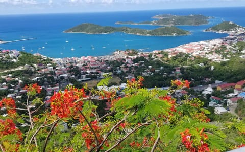 Private Island Drive Tour with Sapphire Beach in St. Thomas