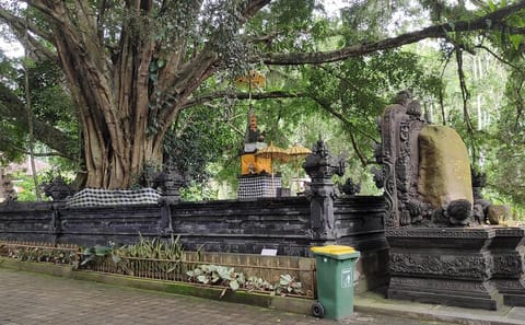 Rice Terraces, Temples, and Waterfall Tour from Ubud
