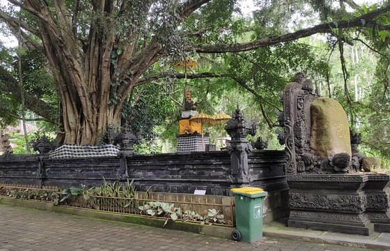Rice Terraces Sacred Temples and Waterfall Tour from Ubud