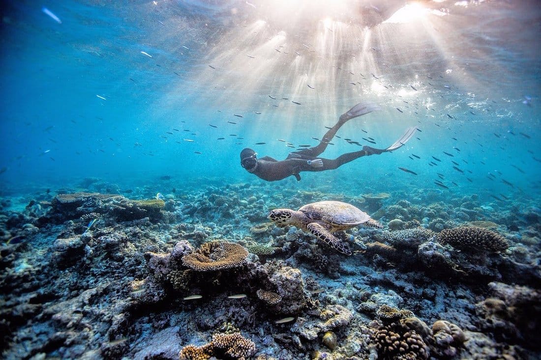 trip to the Valley of the Nile