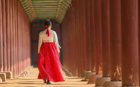 Customizable Full-Day Private Tour of Seoul Highlights