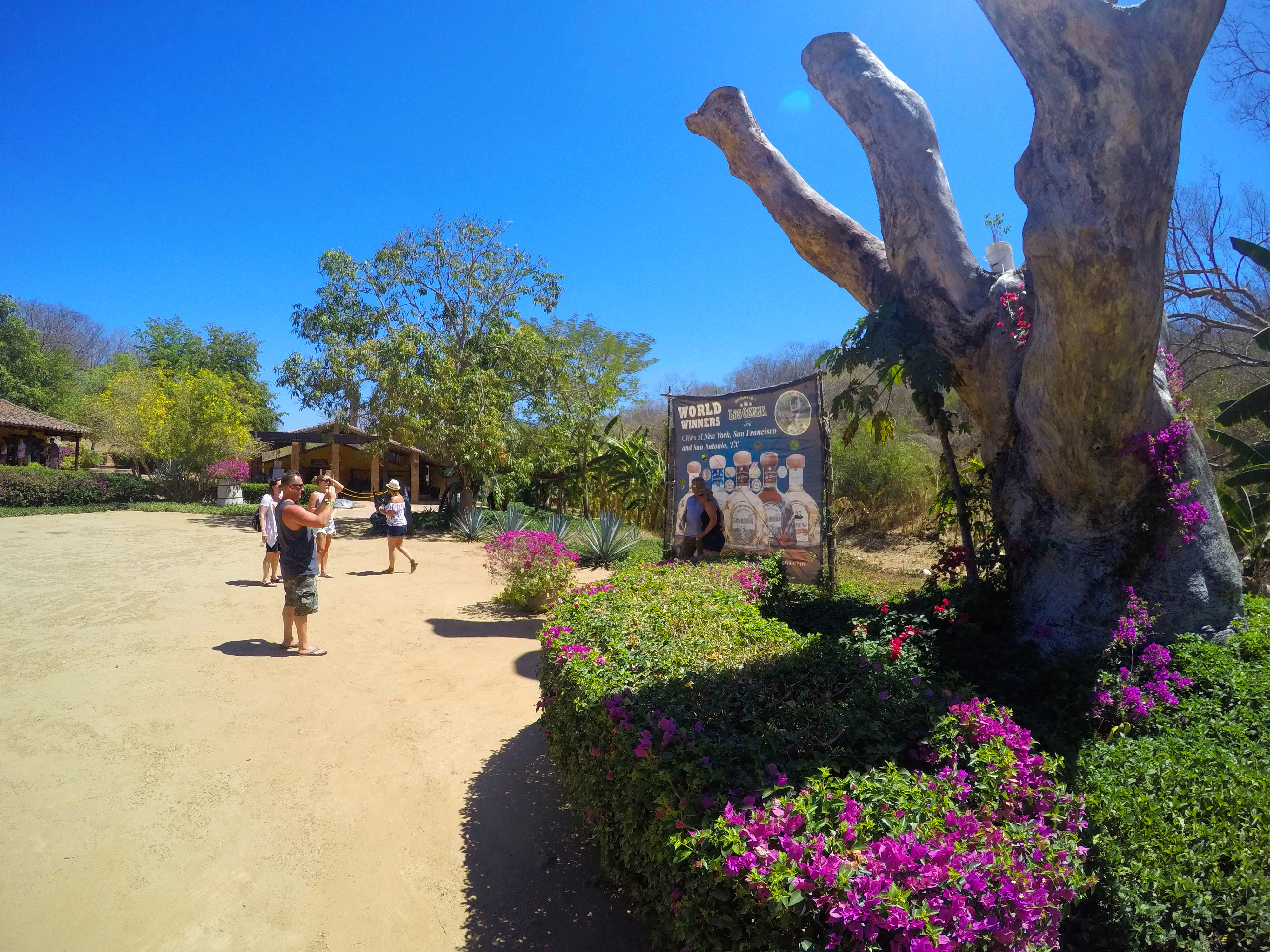 Agave Spirits, Salsa and Tortilla Combo Tour