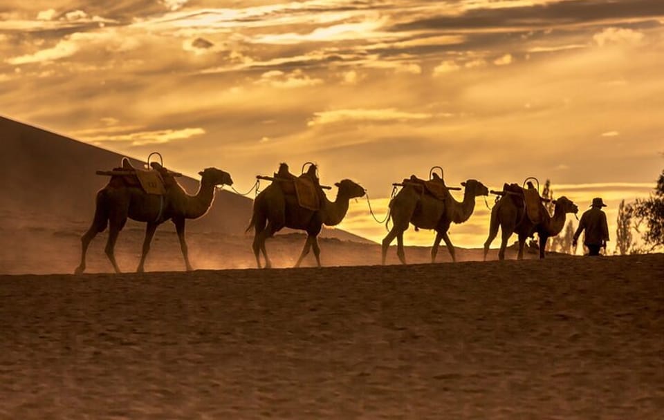 Private 3-Day Cultural Tour of Dunhuang's Mogao Grottoes