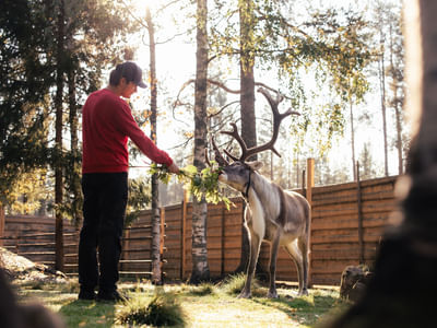 Autumn Magic in Santa Claus Village – A Fun and Unforgettable Experience with Reindeer