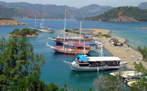 Butterfly Valley Boat Tour with Lunch from Fethiye