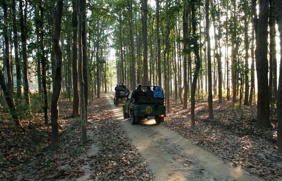 Nagpur to Vizag Tribal Villages & Tiger Safari