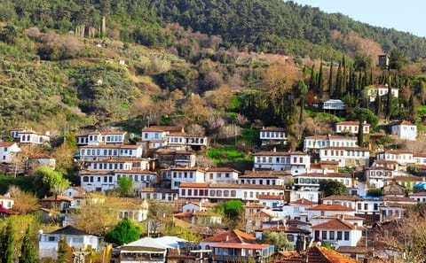 Ephesus and Sirince Village Small Group Tour from Kusadasi