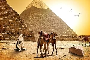 Private Over Day Cairo Pyramids, Sphinx Egyptian Museum, & Lunch - Hurghada