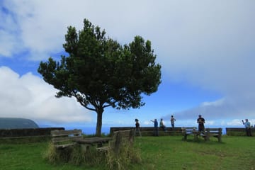 Private ATV Adventure Tour in Eastern Madeira: Caniço to Porto da Cruz