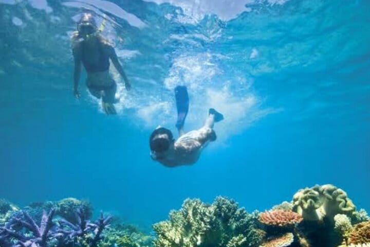 Zanzibar Salaam Cave Swimming and Feeding Sea Turtle in Kizimkazi