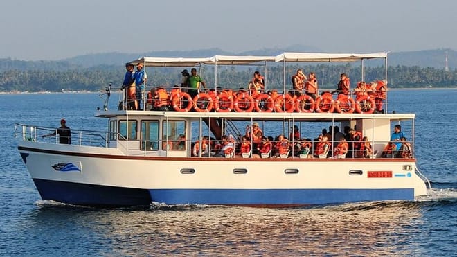  From Galle: Mirissa Whale Watching Tour