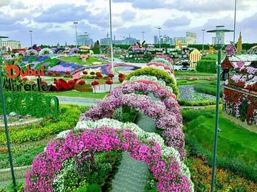 Dubai Miracle Garden