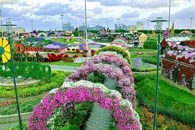 Dubai Miracle Garden with private round trip transfers