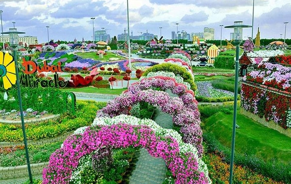 Dubai Miracle Garden with private round trip transfers