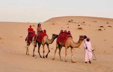 All in One Dubai Abu Dhabi Tour & Evening Desert Safari