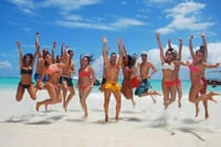 Isla Saona Speedboat Adventure - Lunch, Wildlife & Natural Pools 9