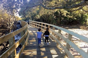 Auckland Volcanic Field Exploration and Scenic Views Tour