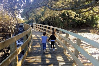 Auckland Volcanic Field Tour