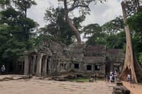 Taprohm