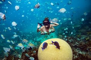 Adults Only Caribbean Cruise by Sharky Catamarans