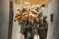 Your Own Morocco. Fez Private Tour: A City Beyond The Imagination 10